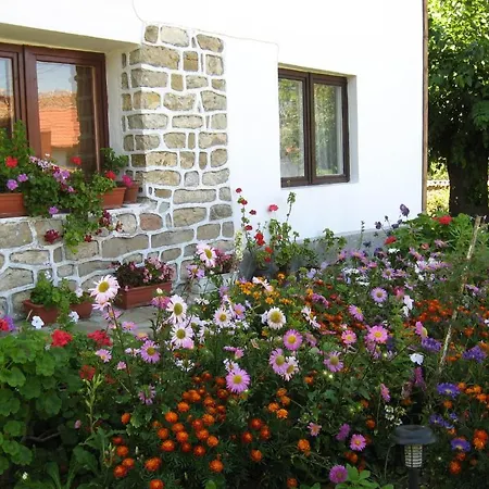 Elefterova Kashta Pensión